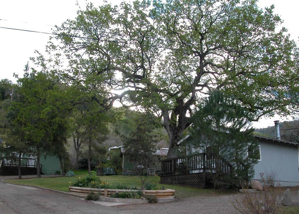 Sequoia Motel Three Rivers Extérieur photo